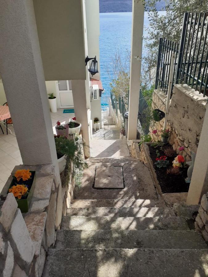 Apartmani Lezenic Dada Neum Eksteriør billede
